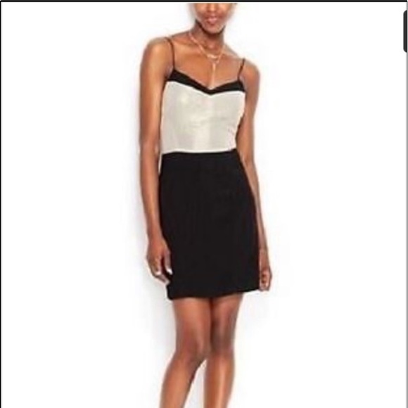 rachel roy cocktail dresses